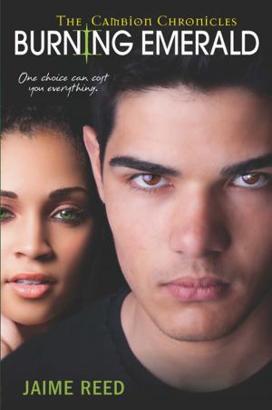 Cover of the book Burning Emerald by Kimberly Kaye Terry