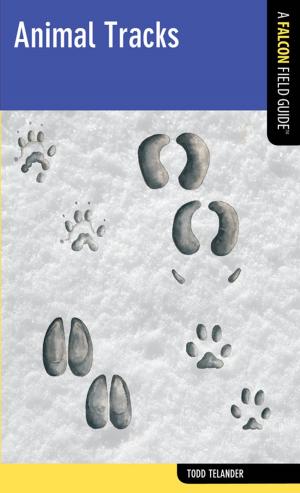 Cover of the book Animal Tracks by Mary Skjelset, Heidi Radlinski