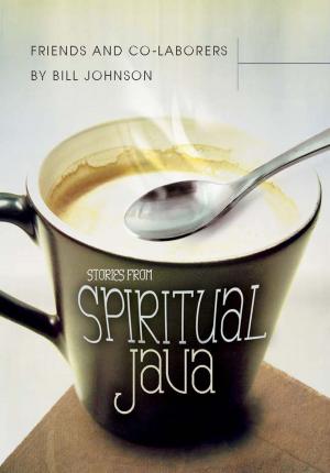 Book cover of Friends and Co-Laborers: Stories from Spiritual Java