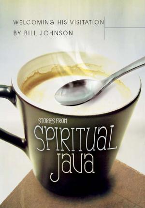 Book cover of Welcoming His Visitation: Stories from Spiritual Java