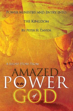 Book cover of Power Ministry and Entry Into the Kingdom: A Short Story from "Amazed by the Power of God"