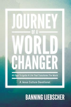 Book cover of Journey of a World Changer: 40 Days to Ignite a Life that Transforms the World