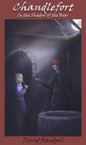 Cover of the book Chandlefort by Kelly DiNardo