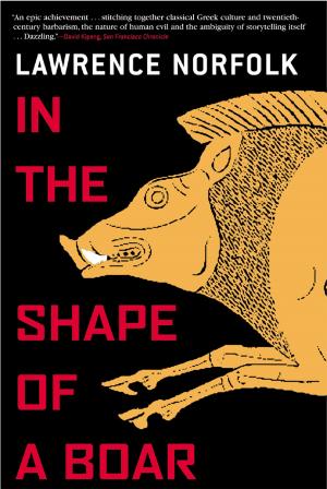 Cover of the book In the Shape of a Boar by Tommy Wieringa