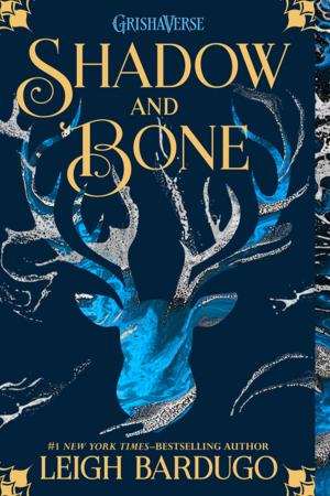 Cover of the book Shadow and Bone by Joyce Sweeney
