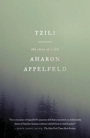 Cover of the book Tzili by Michael Dibdin