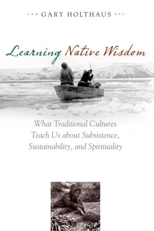 Cover of the book Learning Native Wisdom by Albert W. A. Schmid