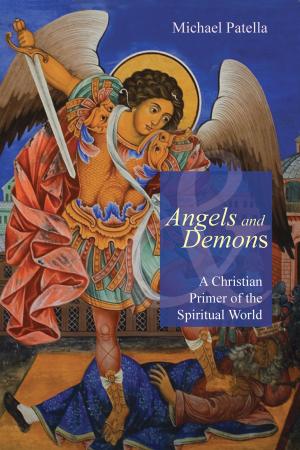 Cover of the book Angels and Demons by Jordan Denari Duffner
