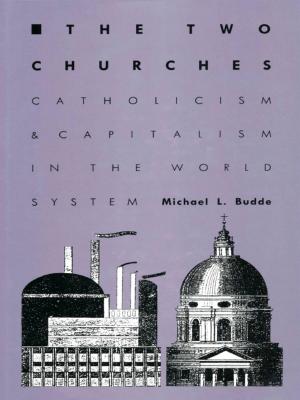 Cover of the book The Two Churches by Michael Warner, John McWilliams, Wai Chee Dimock