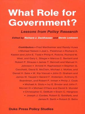 Cover of the book What Role for Government? by E. San Juan Jr., Donald E. Pease