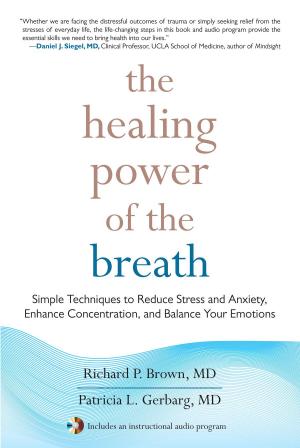 Cover of the book The Healing Power of the Breath by Carolyn Rose Gimian