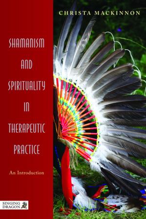 Cover of the book Shamanism and Spirituality in Therapeutic Practice by Gail Steinberg, Beth Hall