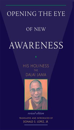 Cover of the book Opening the Eye of New Awareness by David Michie