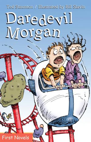 Cover of the book Daredevil Morgan by Ted Staunton, Bill Slavin