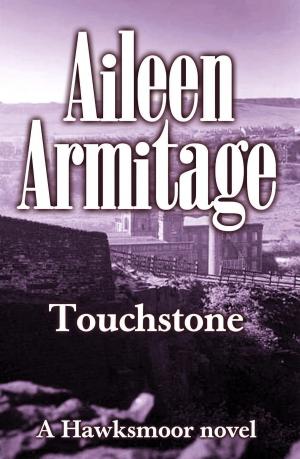 bigCover of the book Touchstone by 