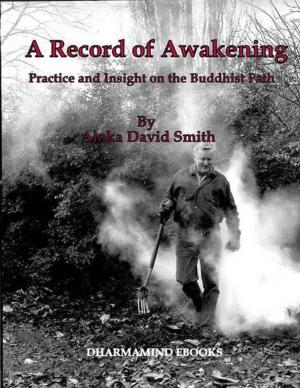Cover of the book A Record of Awakening by Daniel Odier