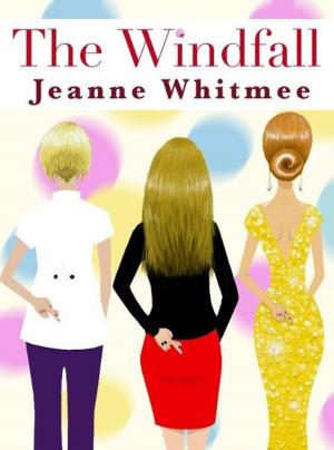 Cover of the book The Windfall by Ashley Suzanne