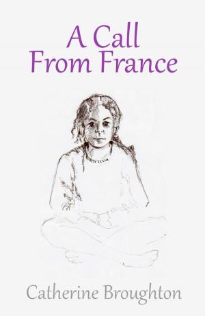 Book cover of A Call from France
