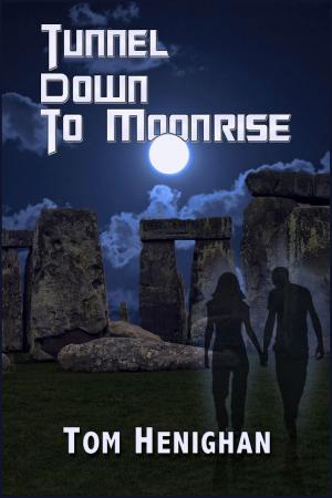 Book cover of Tunnel Down to Moonrise