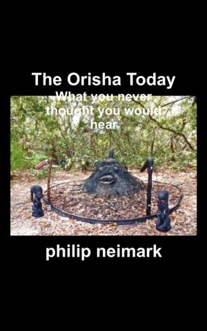 Cover of the book The Orisha Today by Kelly Wilson