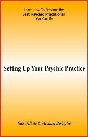 Cover of the book Setting Up Your Psychic Practice by Michael J. Franklin