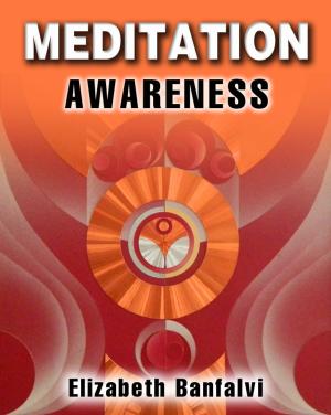 Cover of the book Meditation Awareness by David J. Bookbinder