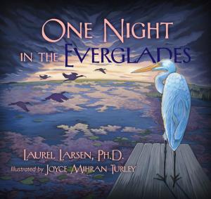 Cover of the book One Night in the Everglades by W.C. Jameson