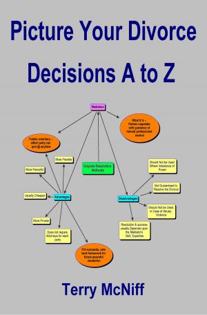 Cover of the book Picture Your Divorce Decisions A to Z by Bill Eddy LCSW Esq