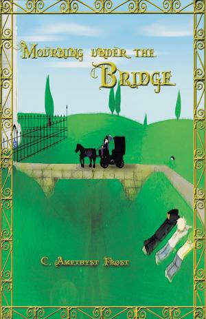 bigCover of the book Mourning Under the Bridge by 