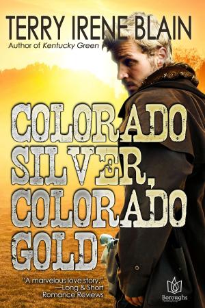 Cover of the book Colorado Silver, Colorado Gold by Elisabeth Silvers