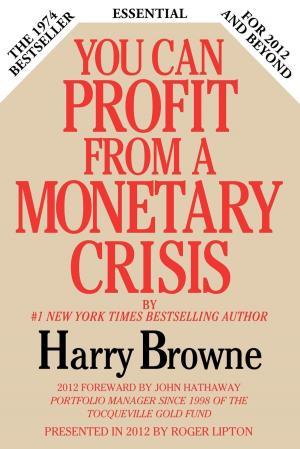 Book cover of You Can Profit From A Monetary Crisis