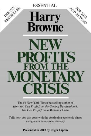 Book cover of New Profits From The Monetary Crisis