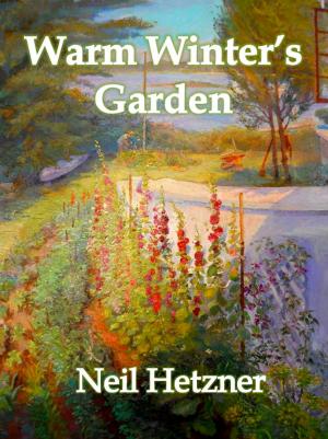 Cover of the book Warm Winter's Garden by Patricia M. Connors, RN, MS, WHNP