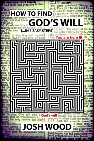 Cover of the book How to Find God's Will by Charles R. Swindoll
