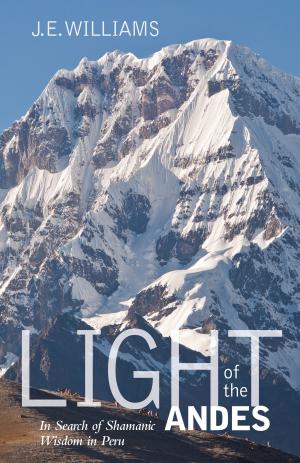 Cover of the book Light of the Andes by 朱立安．巴吉尼(Julian Baggini)