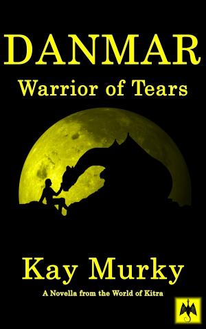 Cover of the book DANMAR: Warrior of Tears by Shane Gavin