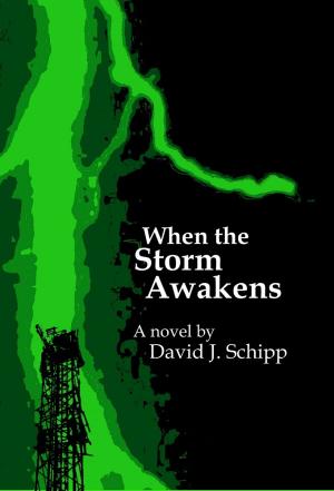 Book cover of When the Storm Awakens