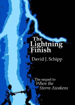 Book cover of The Lightning Finish