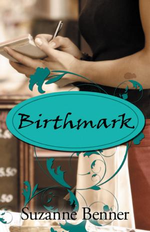Cover of the book Birthmark by Sue Raymond