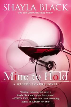 Cover of the book Mine to Hold by S.A. Meyer