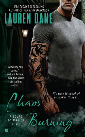 Cover of the book Chaos Burning by Jake Logan