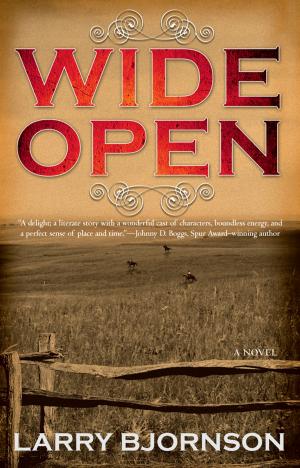 Cover of the book Wide Open by Emilie Richards