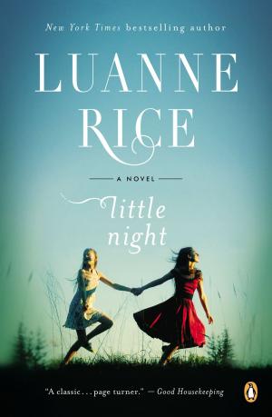 Cover of the book Little Night by T.C. Boyle