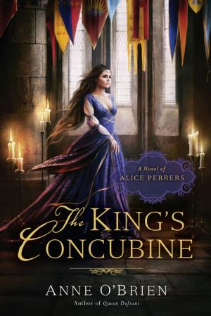 bigCover of the book The King's Concubine by 