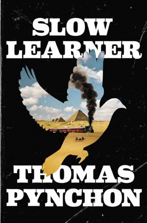Cover of the book Slow Learner by Loretta Livingstone
