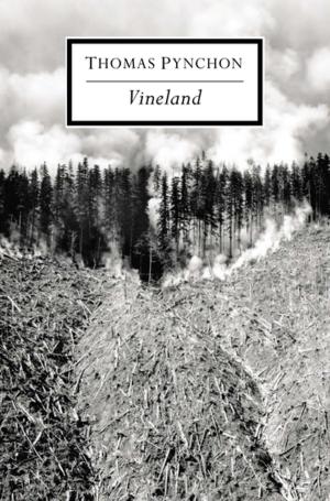 Cover of the book Vineland by Abolqasem Ferdowsi