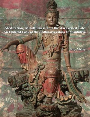Cover of the book Meditation, Mindfulness and the Awakened Life: An Updated Look at the Bodhicaryavatara of Shantideva by Jacques Fleury