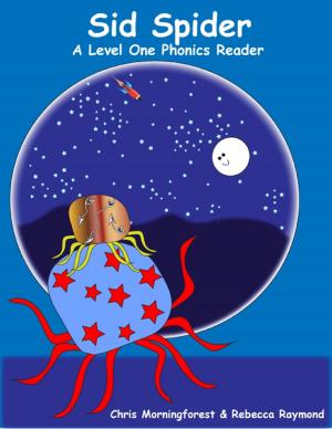 Book cover of Sid Spider - A Level One Phonics Reader