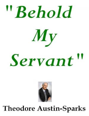 Cover of the book "Behold My Servant" by Dennis van Westerborg
