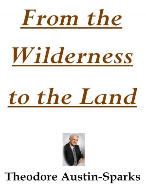 Cover of the book From the Wilderness to the Land by Natalie Colah, Sonja Dengler, Hannah Forster, Beth Gadsby, Liam Keeble, Tricia Onions, Tilly Parry, Jasmine Plumpton, Melanie Squires, Derianna Thomas, Titilope Wete, Salma Zarugh